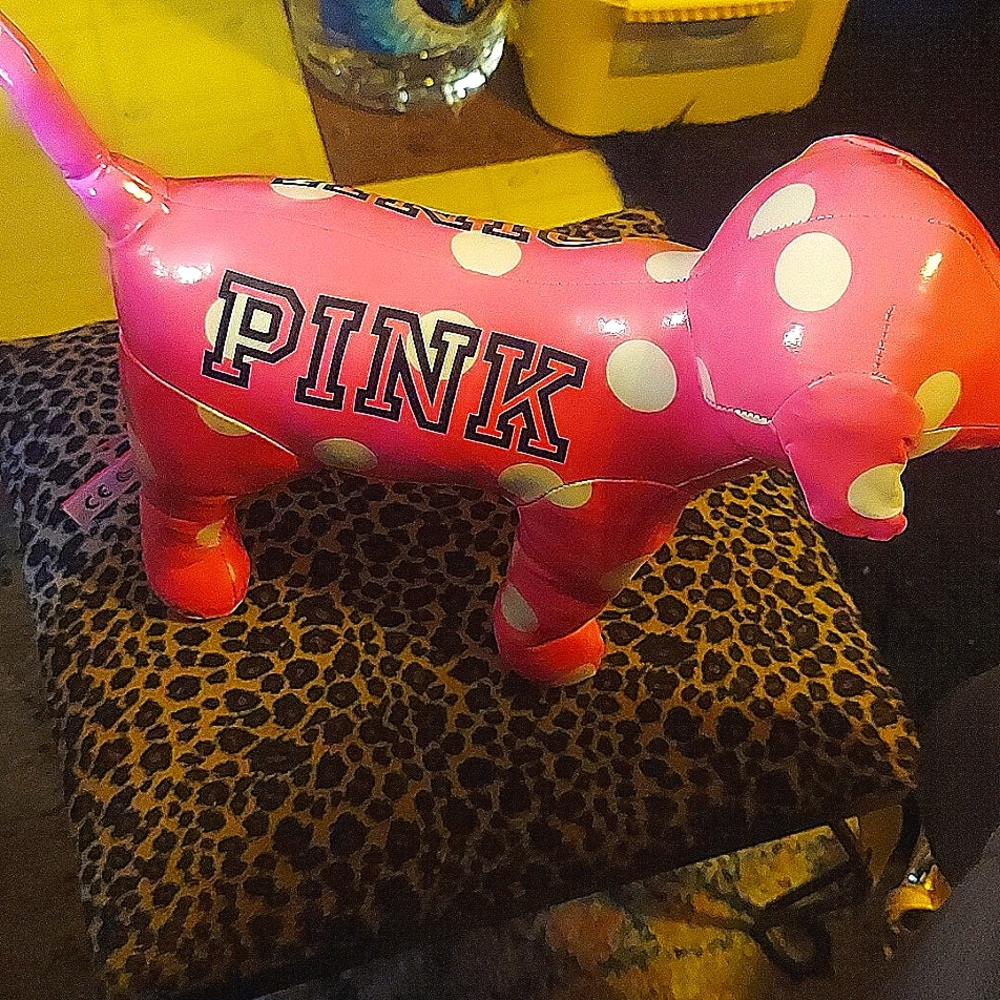 VS PINK collectible pokodat dog